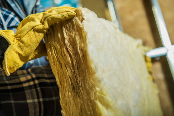 Best Commercial Insulation in Amory, MS