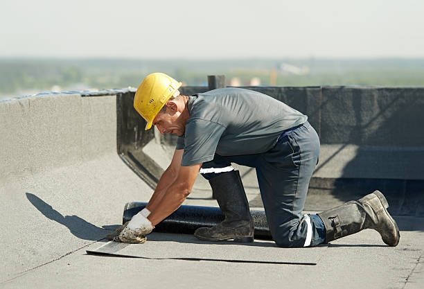 Best Insulation Maintenance and Repair in Amory, MS